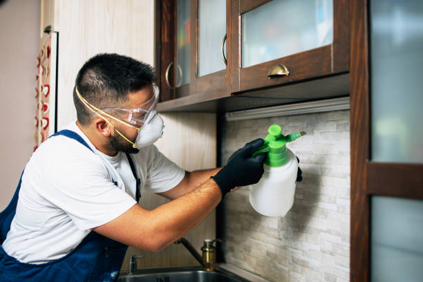 Best Ant Control Services  in Ramsey, MN